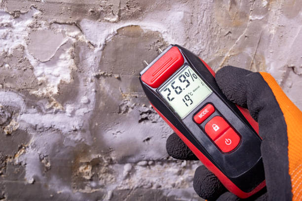 Best Post-Remediation Services in Rancho San Diego, CA
