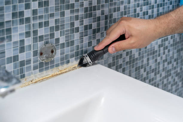 Best Emergency Mold Remediation in Rancho San Diego, CA